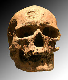 220px-Cro-Magnon[1]