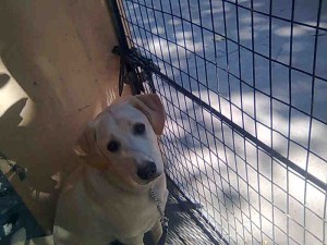 Geetashree's click Image0246