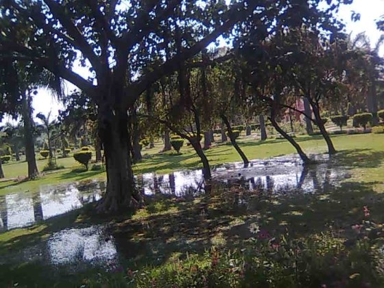 http:?//panaecea.wordpress.com Image0279