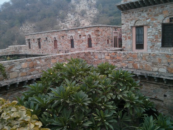 https://panaecea.wordpress.com https://panaecea.wordpress.com