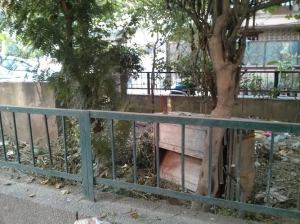 https://panaecea.wordpress.com PICTURE 6