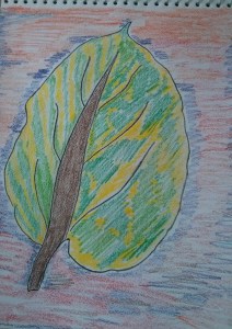 Leaf