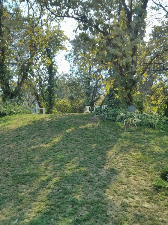 https://panaecea.wordpress.com img_20170211_131847.jpg