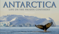 All About Antarctica