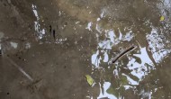 Sudden Saturday Rains