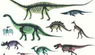 Contemporary Dinosaurs