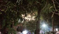Deepawali – Festival Of&nbsp;Lights