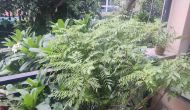 Nature Walk And A Story In&nbsp;Hindi