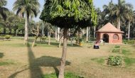 The Park